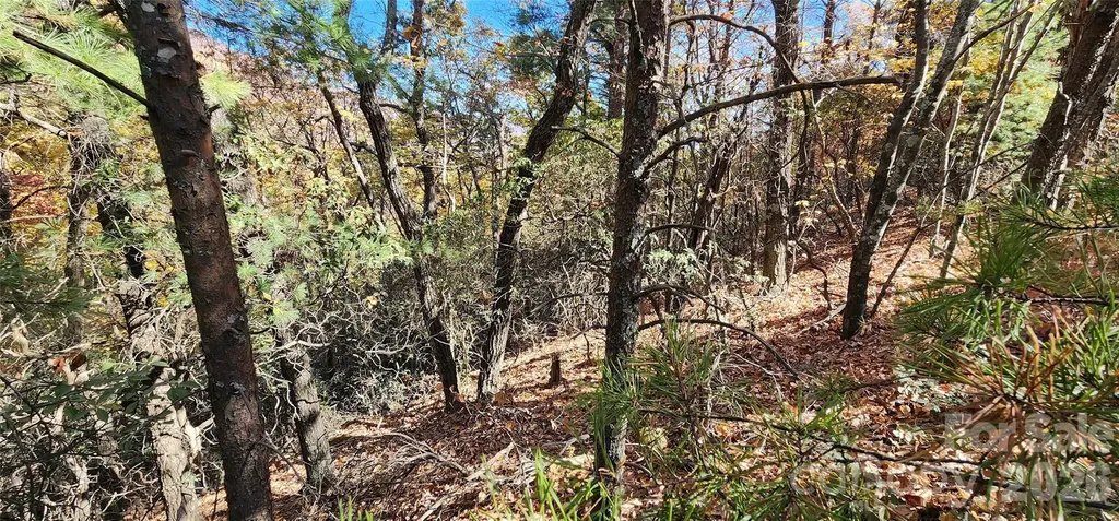 Lot 22 A Pinnacle Parkway Union Mills NC 28167