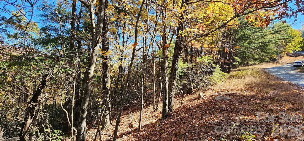 Lot 22 A Pinnacle Parkway Union Mills NC 28167
