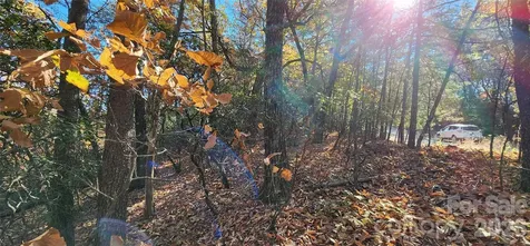 Lot 22 A Pinnacle Parkway Union Mills NC 28167