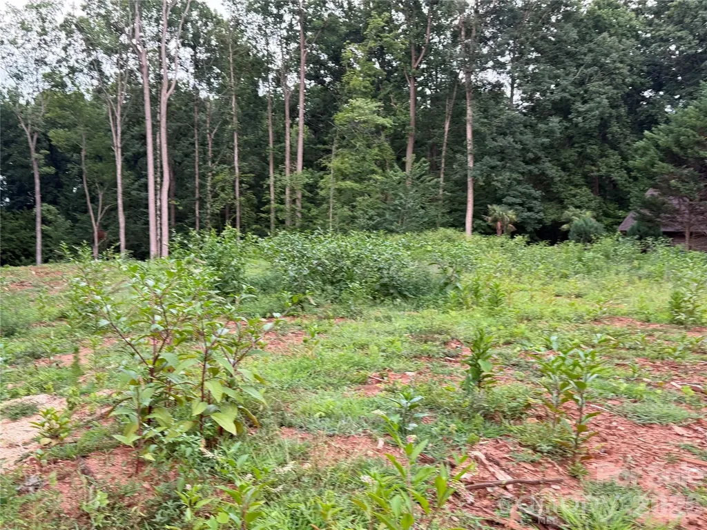 8251 Addison Drive Harrisburg NC 28075