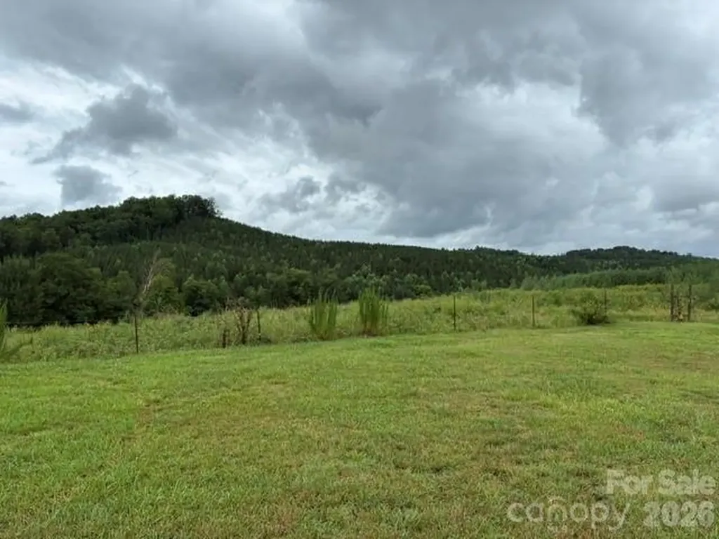 83 Acres +/- Pleasant Grove Road Rutherfordton NC 28139