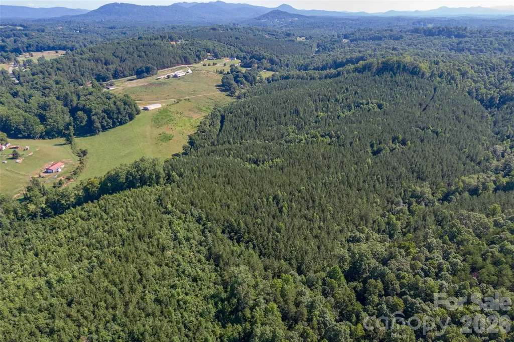 83 Acres +/- Pleasant Grove Road Rutherfordton NC 28139