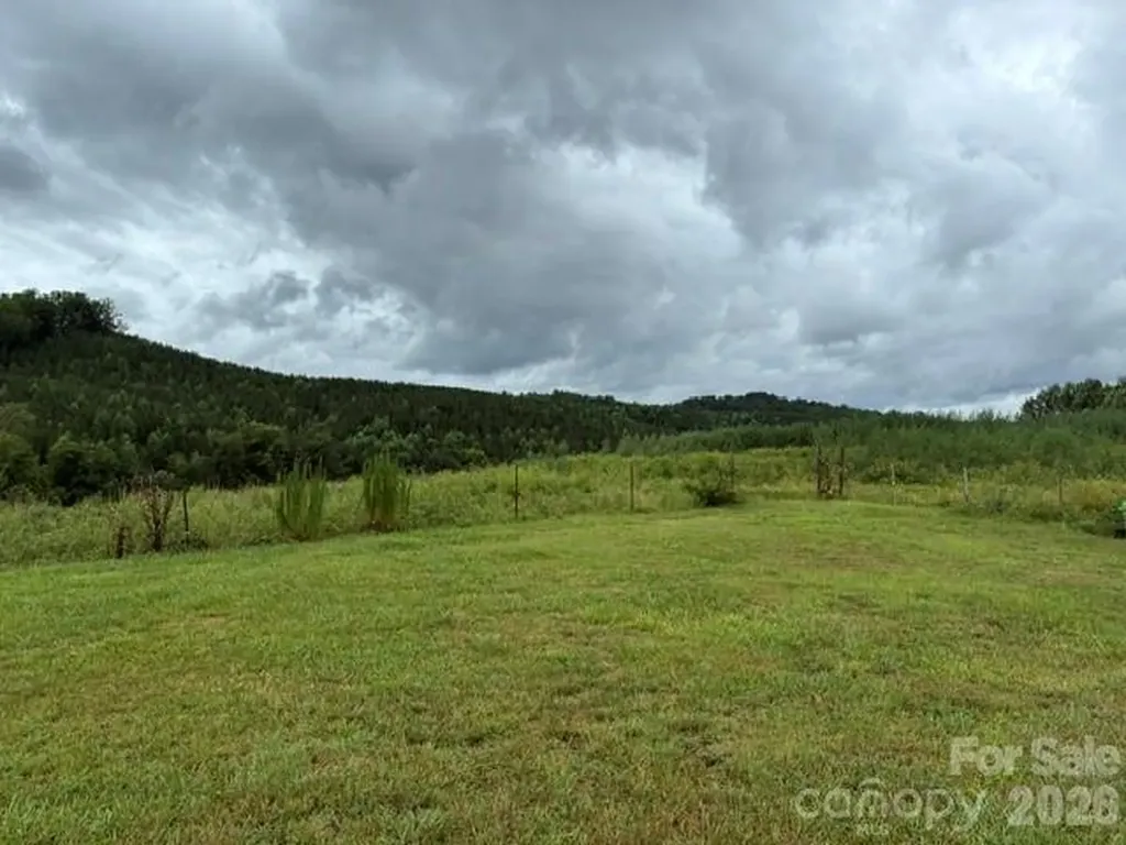 83 Acres +/- Pleasant Grove Road Rutherfordton NC 28139