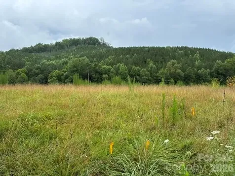 83 Acres +/- Pleasant Grove Road Rutherfordton NC 28139