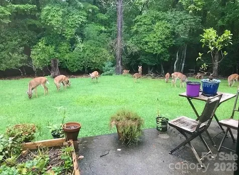 84 Greenwood Acres Drive Mills River NC 28759