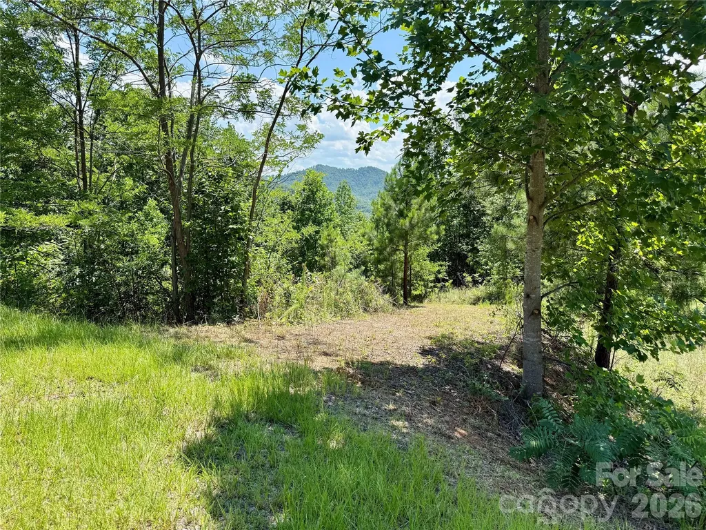 V/l Summit Trail Nebo NC 28761