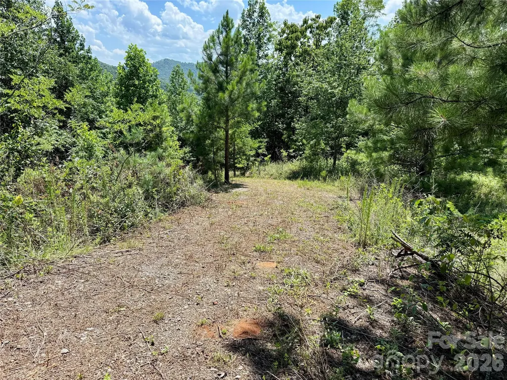 V/l Summit Trail Nebo NC 28761
