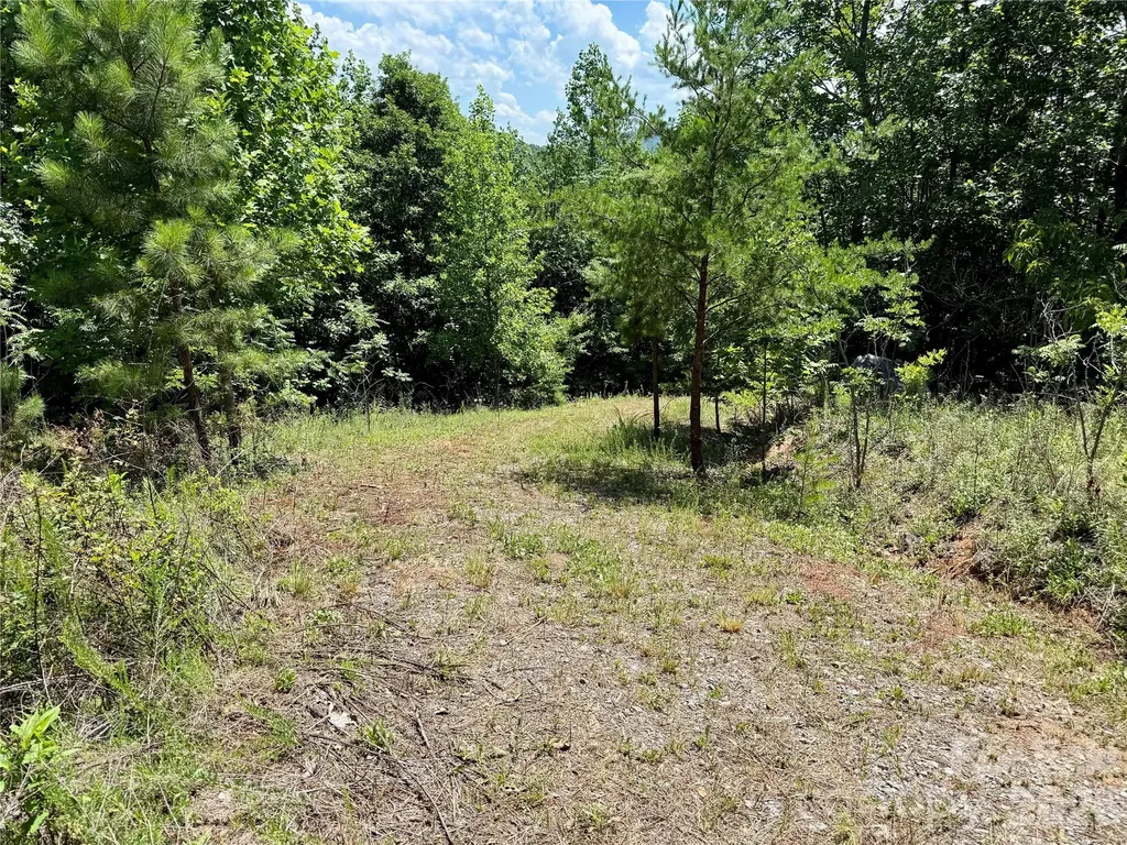 V/l Summit Trail Nebo NC 28761