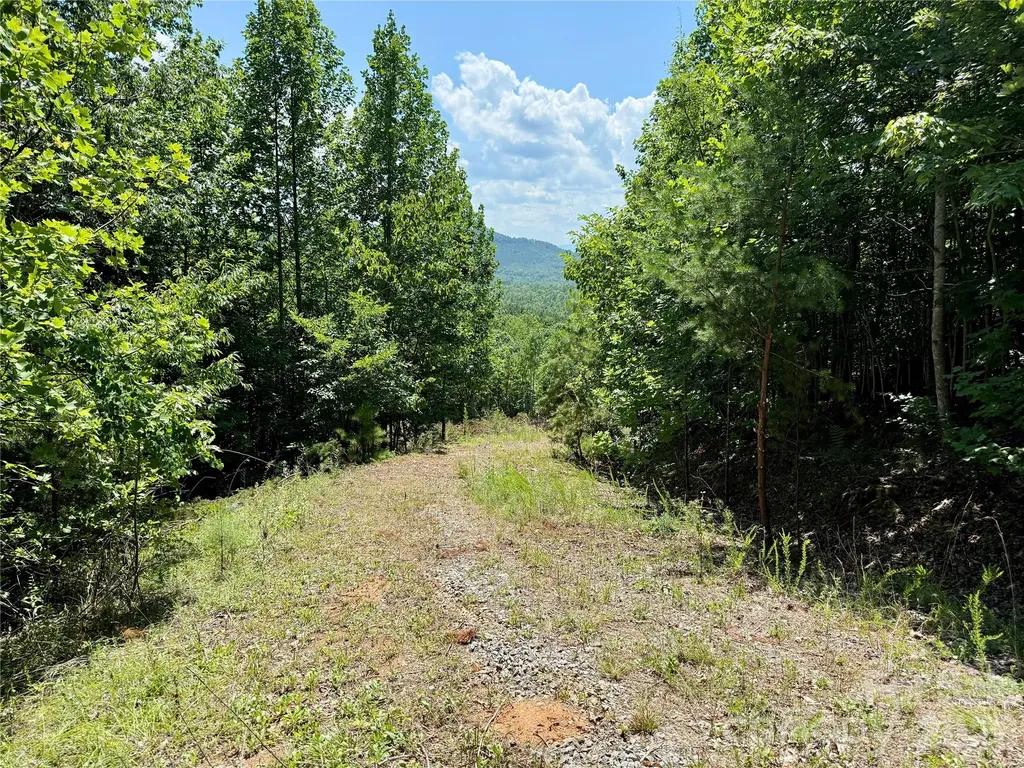 V/l Summit Trail Nebo NC 28761