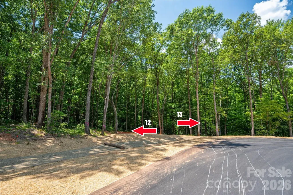 6220 Pineside Drive Denver NC 28037
