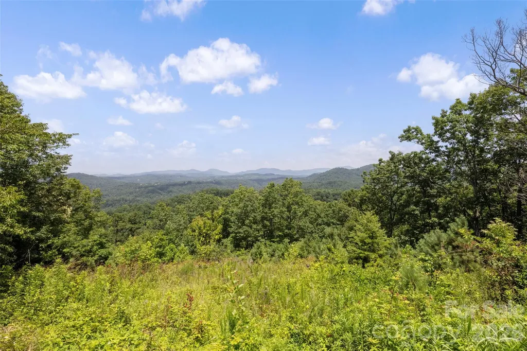 354 Boulder View Drive Flat Rock NC 28731