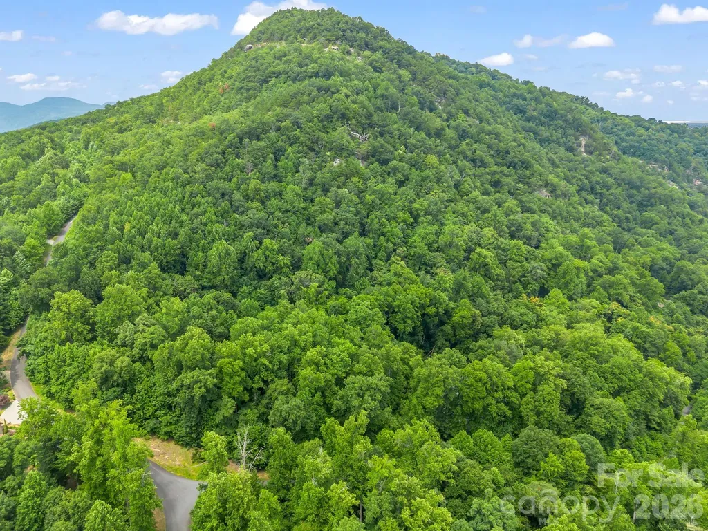 Lot 29 Matho Trace Lake Lure NC 28746