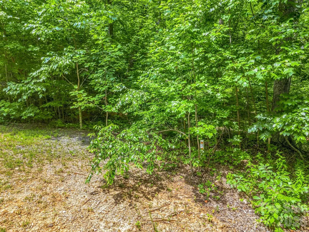 Lot 29 Matho Trace Lake Lure NC 28746