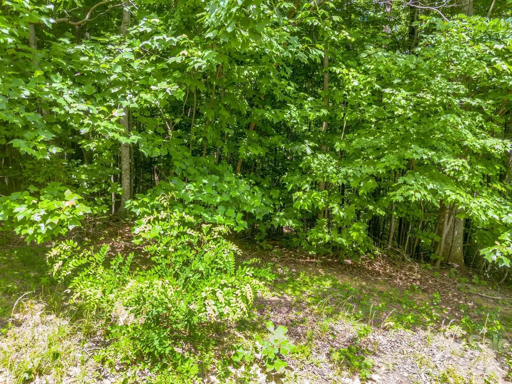 Lot 29 Matho Trace Lake Lure NC 28746
