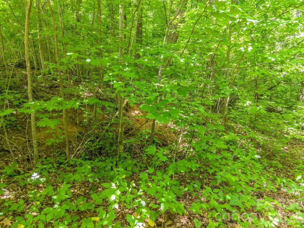 Lot 29 Matho Trace Lake Lure NC 28746
