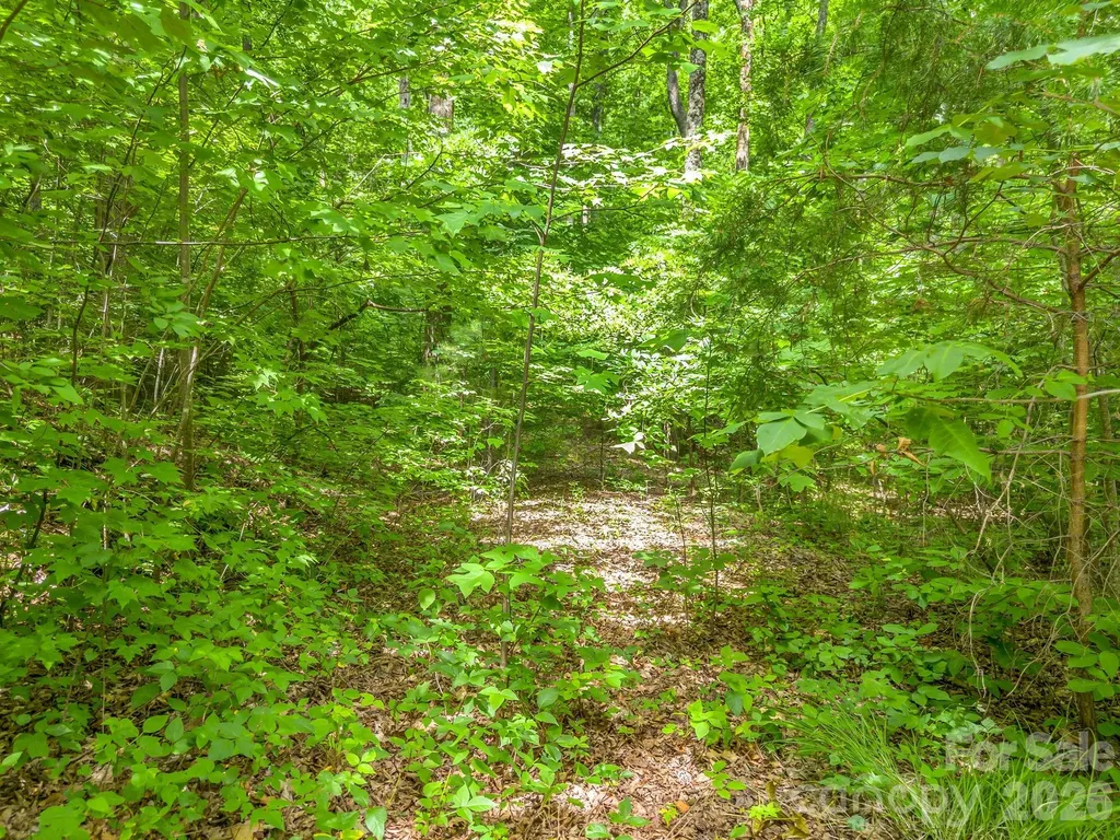 Lot 29 Matho Trace Lake Lure NC 28746