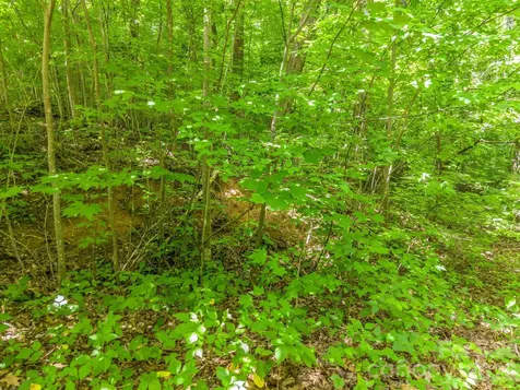 Lot 29 Matho Trace Lake Lure NC 28746