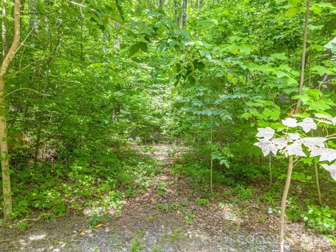Lot 29 Matho Trace Lake Lure NC 28746