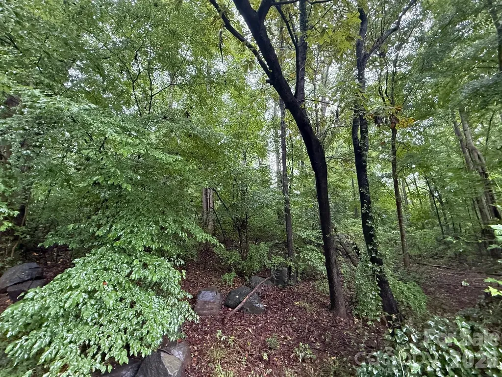 3117 Shirley Drive Charlotte NC 28214