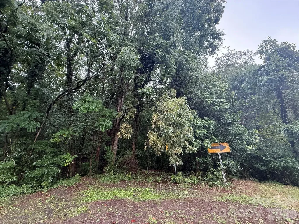 3117 Shirley Drive Charlotte NC 28214