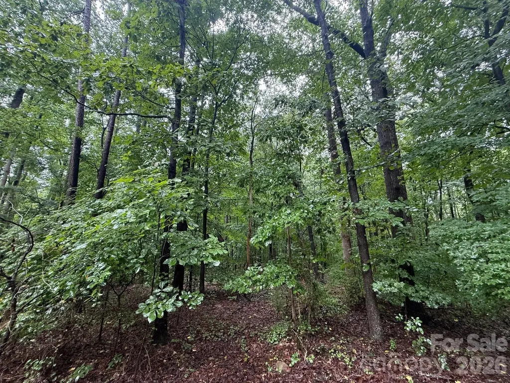 3117 Shirley Drive Charlotte NC 28214