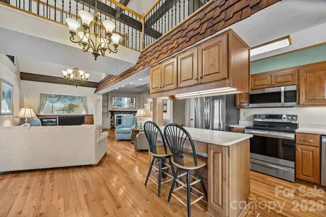 6777 Pinnacle Mountain Road Zirconia NC 28790
