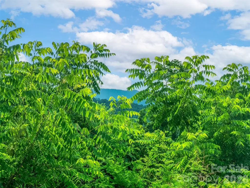 647 Town Mountain Road Asheville NC 28804