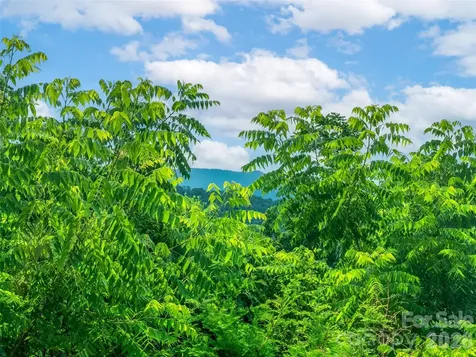 647 Town Mountain Road Asheville NC 28804