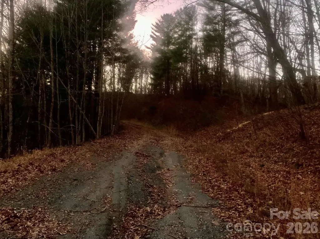Lot 18 West Creek Road Warrensville NC 28693