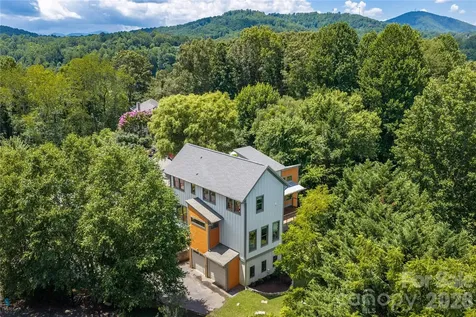 31 Grey River Run Woodfin NC 28804