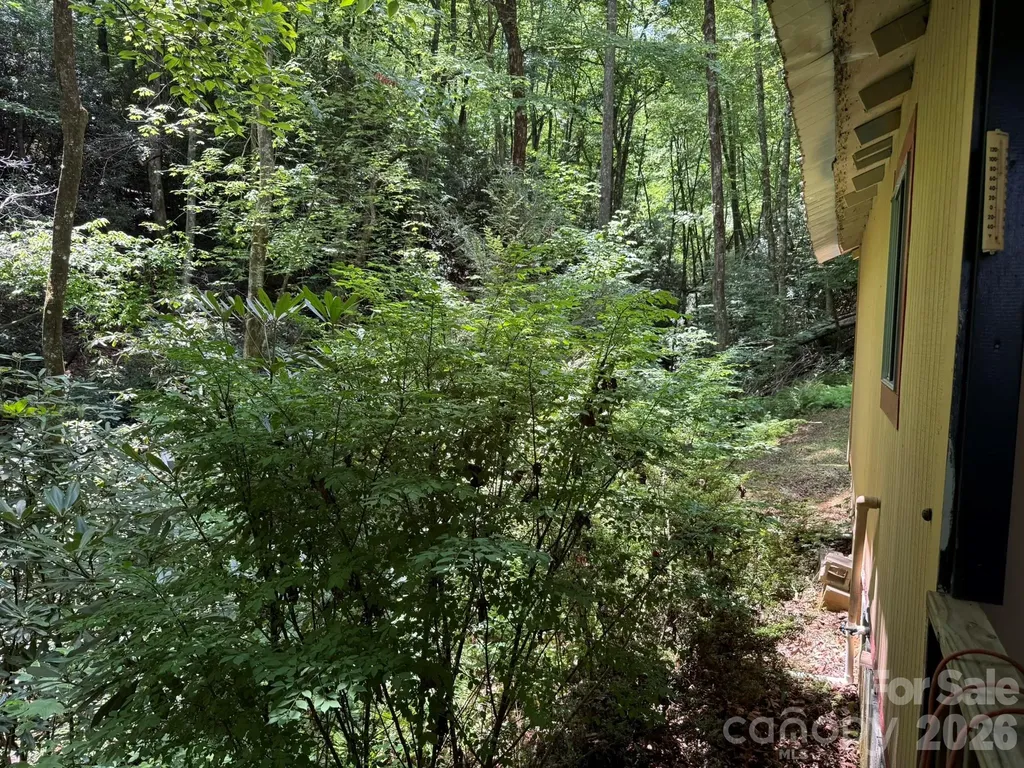 181 Lyman Lane Rosman NC 28772