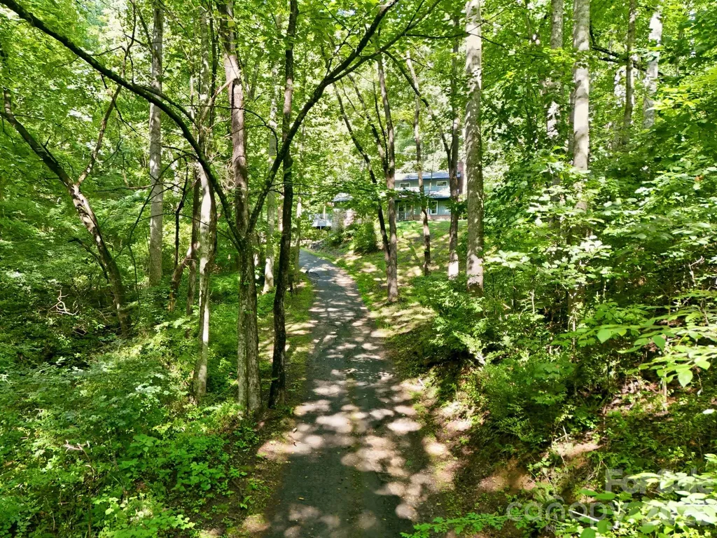 222 Morgan Cove Road Candler NC 28715