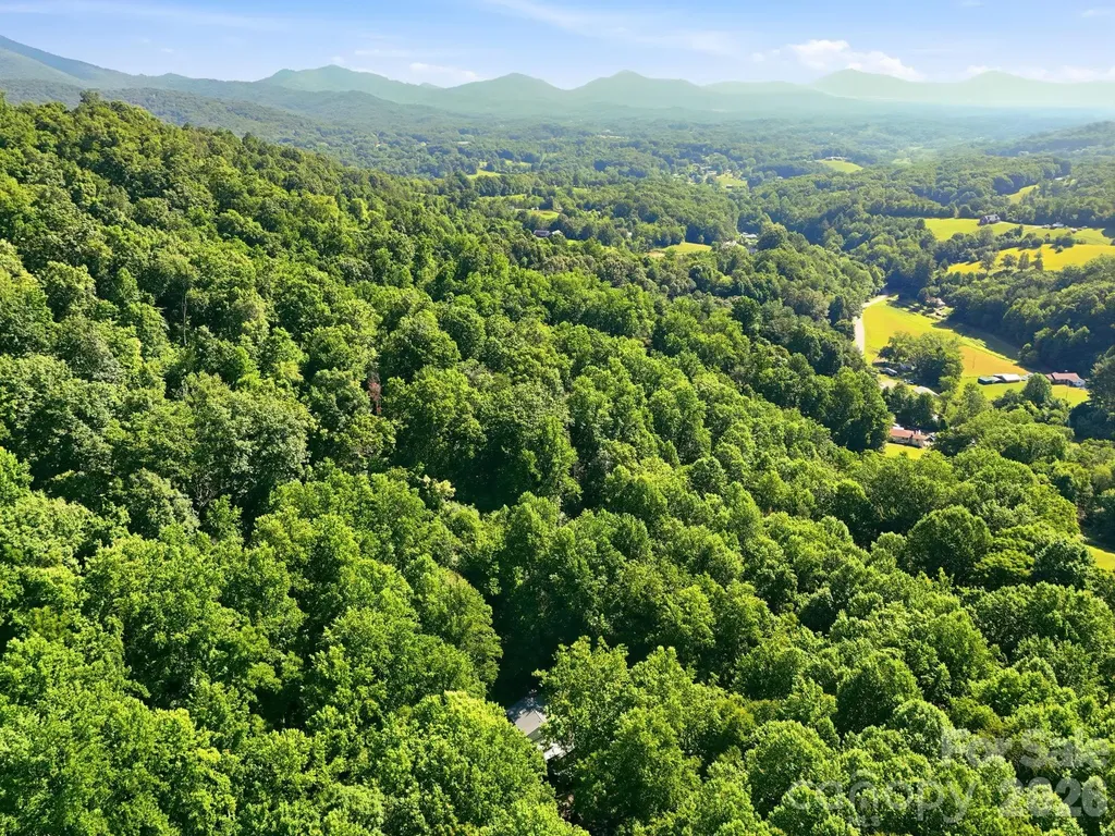 222 Morgan Cove Road Candler NC 28715