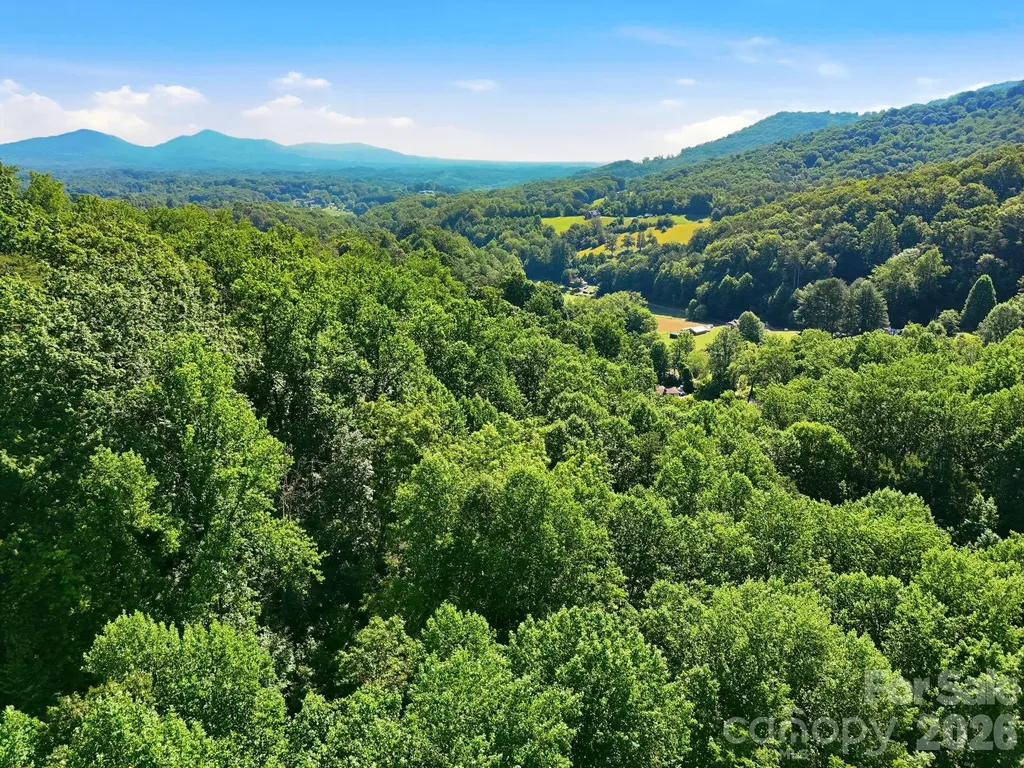 222 Morgan Cove Road Candler NC 28715