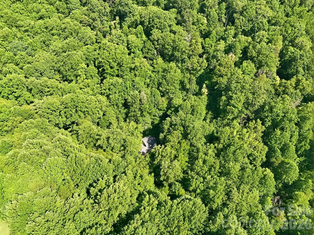 222 Morgan Cove Road Candler NC 28715
