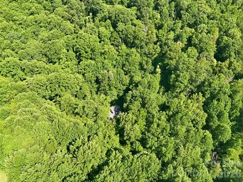 222 Morgan Cove Road Candler NC 28715