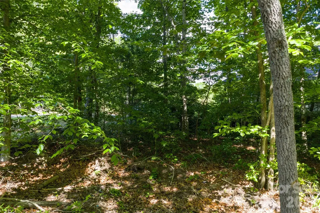 9999 Mount Allen Heights Black Mountain NC 28711
