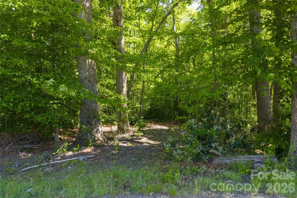 9999 Mount Allen Heights Black Mountain NC 28711