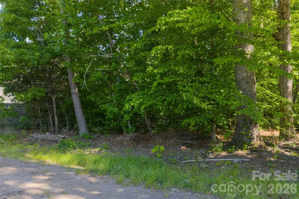 9999 Mount Allen Heights Black Mountain NC 28711