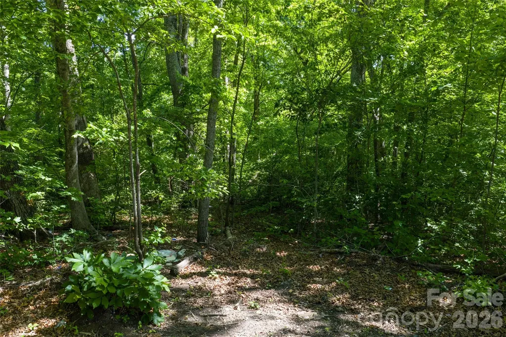 9999 Mount Allen Heights Black Mountain NC 28711