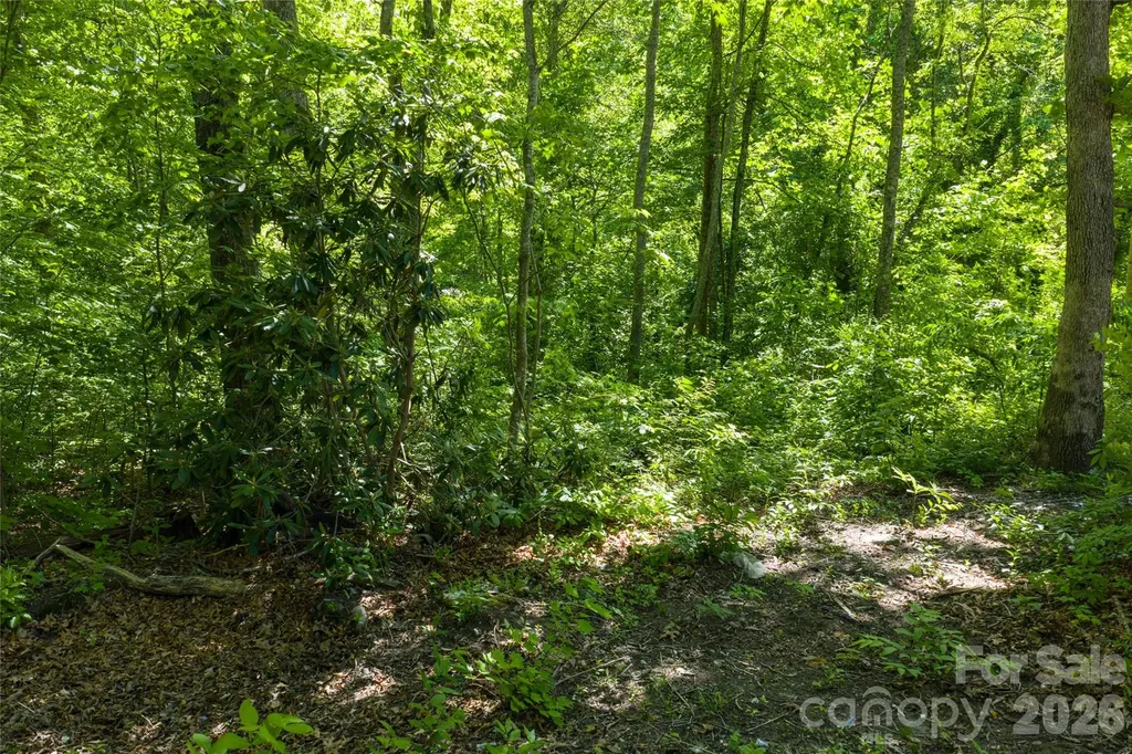 9999 Mount Allen Heights Black Mountain NC 28711