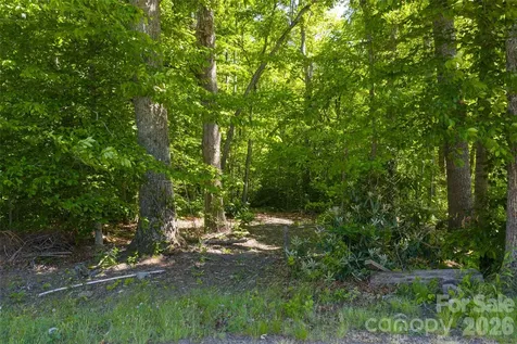 9999 Mount Allen Heights Black Mountain NC 28711
