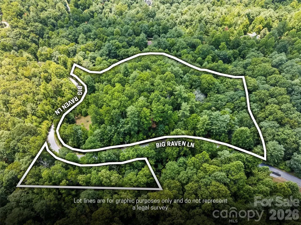 Lot 21 Big Raven Lane Saluda NC 28773