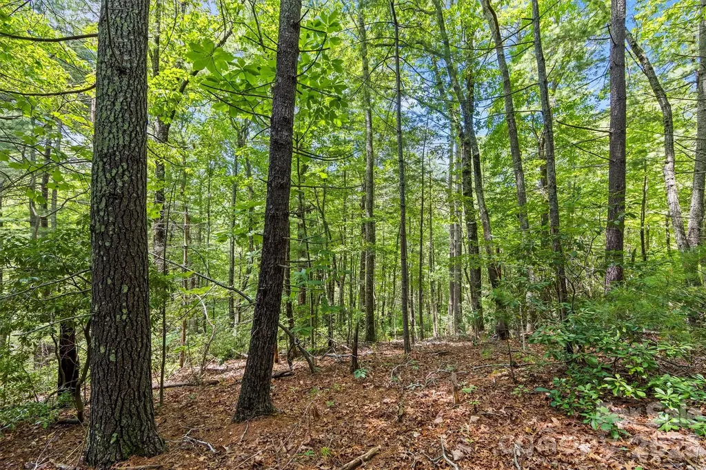 Lot 21 Big Raven Lane Saluda NC 28773