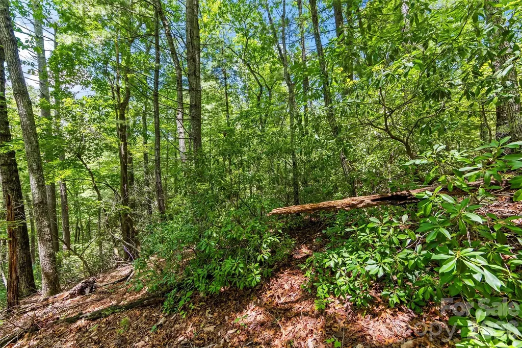 Lot 21 Big Raven Lane Saluda NC 28773