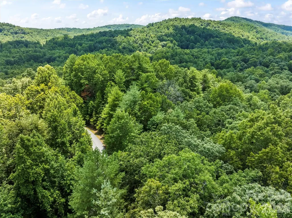 Lot 21 Big Raven Lane Saluda NC 28773