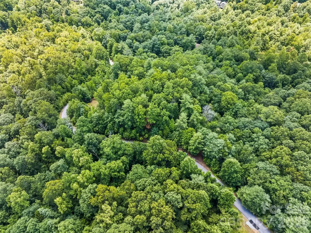 Lot 21 Big Raven Lane Saluda NC 28773