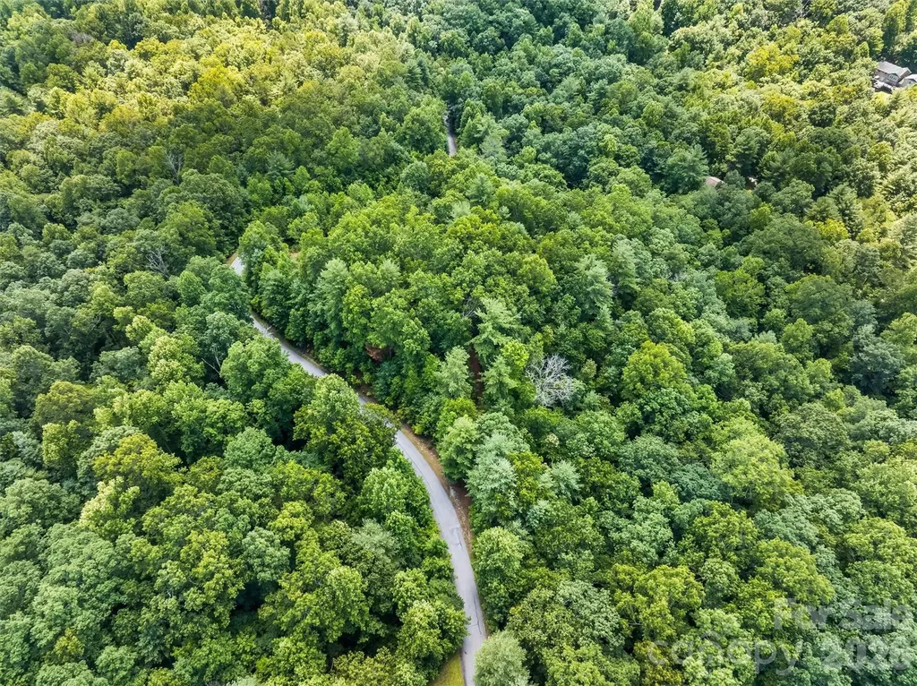 Lot 21 Big Raven Lane Saluda NC 28773