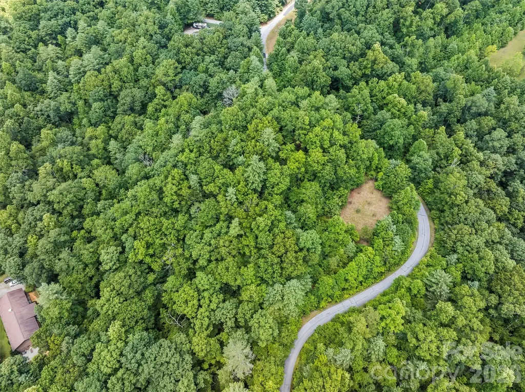 Lot 21 Big Raven Lane Saluda NC 28773
