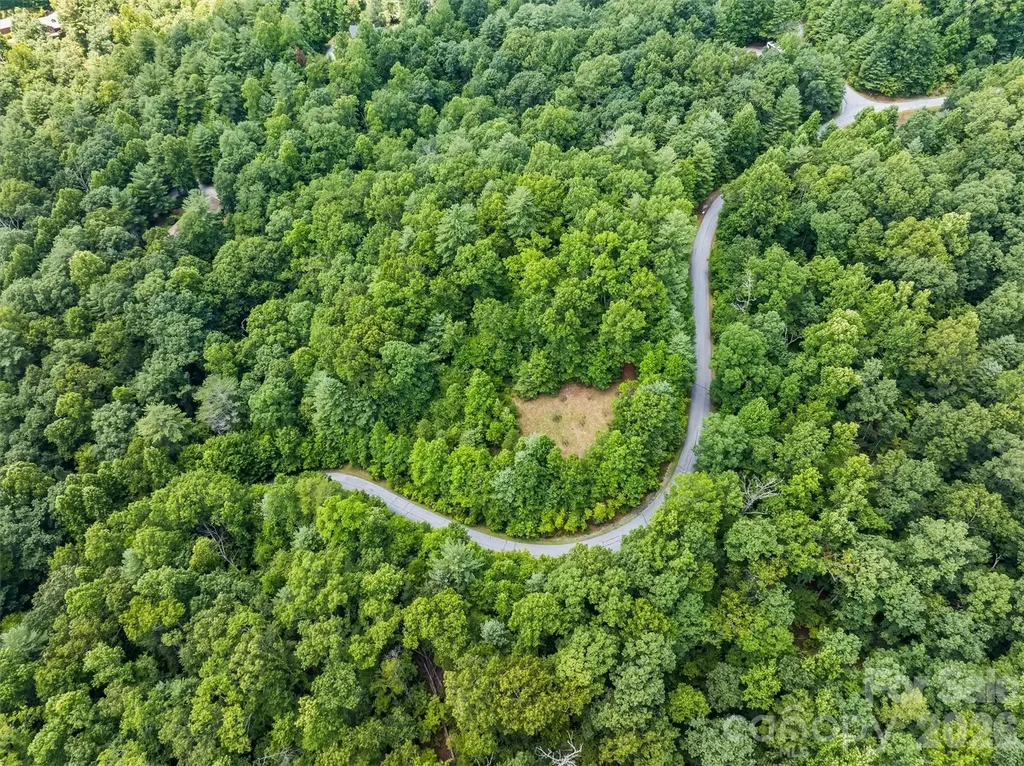 Lot 21 Big Raven Lane Saluda NC 28773